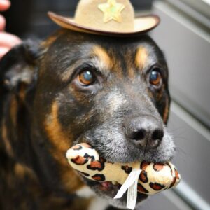 Men’s Gold-Tone Lexington Chronograph Watch MK8494