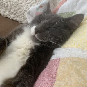 Emporio Armani Women’s Retro Two-Tone Stainless Steel Quartz Watch AR1926