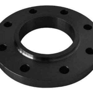 Brida Slip On RF #300